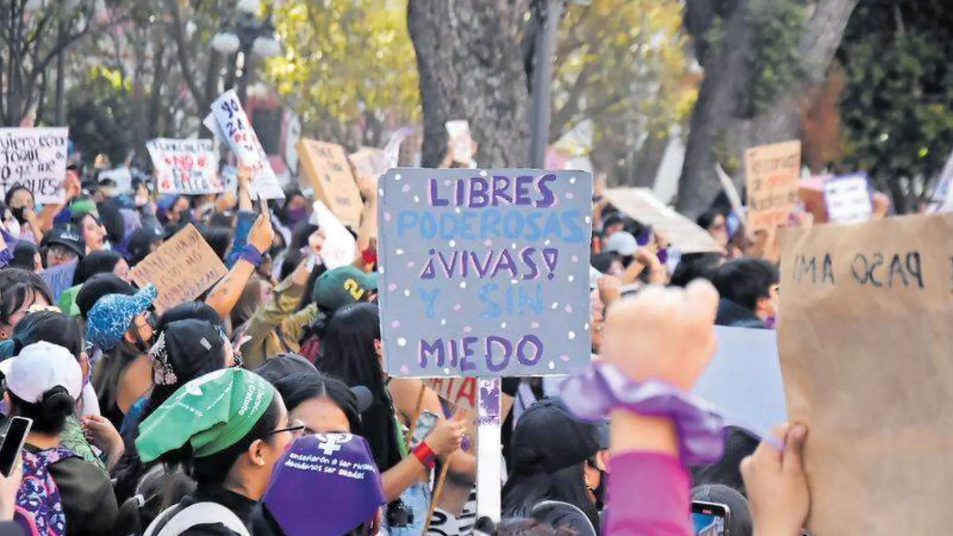 Marcha 8m (2)